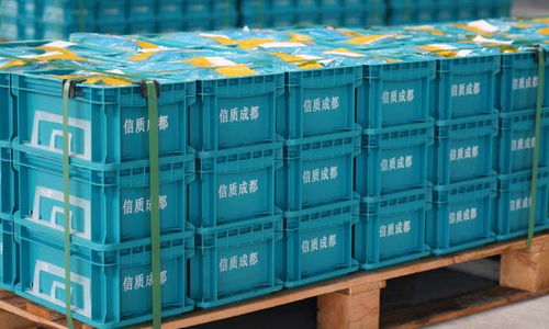 蒲江發展注入新動力 數據處理驅動的城市智慧轉型